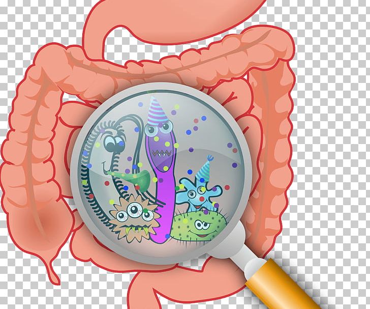 Gastrointestinal Tract Gut Flora Small Intestinal Bacterial Overgrowth Gastrointestinal Disease PNG, Clipart, Bacteria, Digestion, Disease, Dysbiosis, Gastrointestinal Disease Free PNG Download