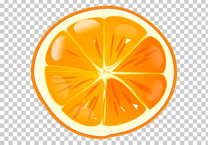 Orange Computer Icons Juice PNG, Clipart, Circle, Citrus, Clement, Computer Icons, Desktop Wallpaper Free PNG Download