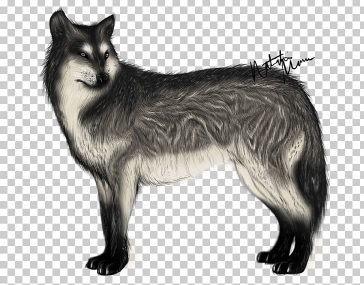 Sakhalin Husky Native American Indian Dog Dog Breed Red Fox Siberian Husky PNG, Clipart, Alaskan Tundra Wolf, Black And White, Breed, Canis, Canis Lupus Tundrarum Free PNG Download