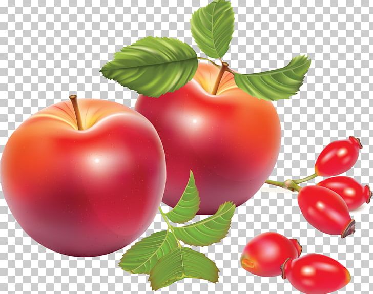 Tea Rose Hip Dog-rose Illustration PNG, Clipart, Acerola Family, Apple, Cartoon, Cherry, Food Free PNG Download