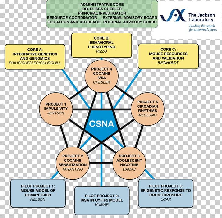 Jackson Laboratory Organization Diagram Human Behavior PNG, Clipart, Area, Behavior, Communication, Conversation, Diagram Free PNG Download