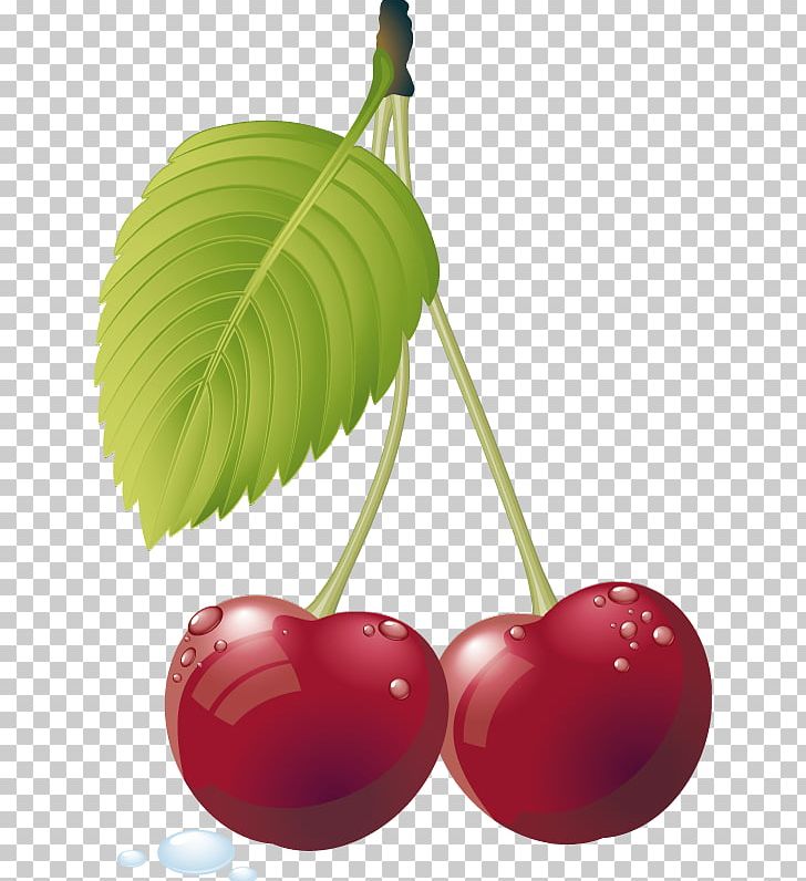 Juice Cherry PNG, Clipart, Apple, Cherry, Cherry Drink, Drink, Food Free PNG Download