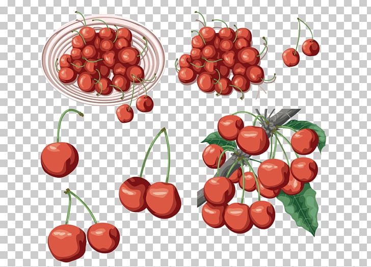 Sweet Cherry Cerasus Food PNG, Clipart, Cerasus, Cherry, Food, Fruit, Fruit Nut Free PNG Download