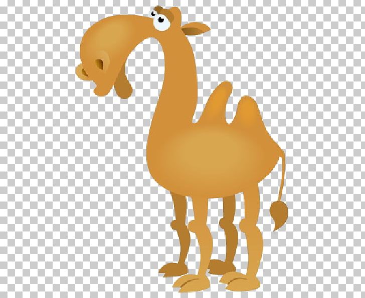 Bactrian Camel Cartoon PNG, Clipart, Animal Figure, Bactrian Camel, Beak, Bird, Camel Free PNG Download