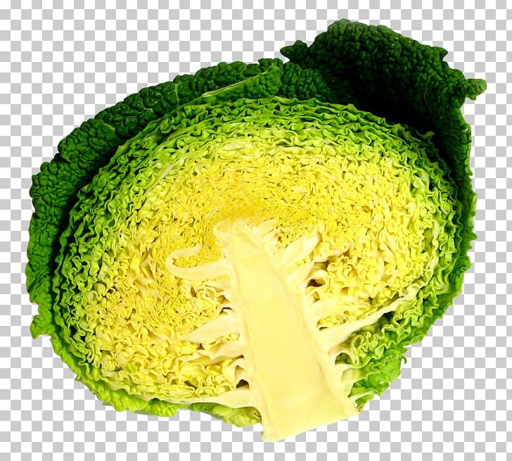 Broccoli Cabbage Vegetarian Cuisine PNG, Clipart, Broccoli, Cabbage, Cucumber, Food, Half Cabbage Free PNG Download