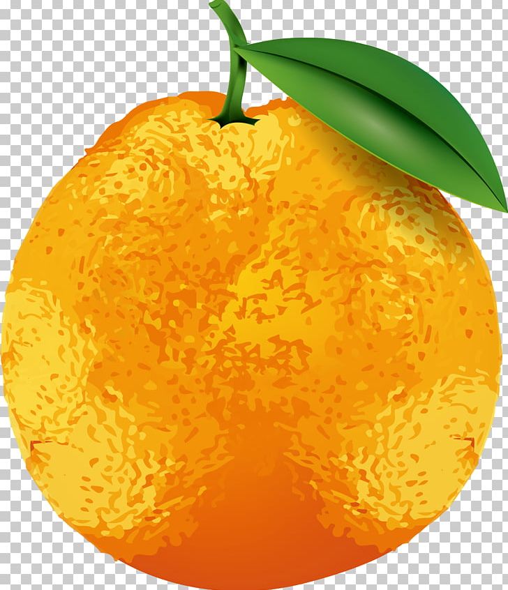 Clementine Tangerine Tangelo PNG, Clipart, Citrus, Encapsulated Postscript, Fall Leaves, Food, Fruit Free PNG Download
