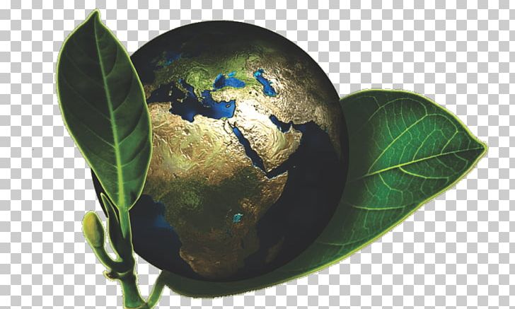 Ecology Natural Environment Environmental Protection Earth PNG, Clipart, Earth, Ecology, Ecotourism, Environment, Environmental Management System Free PNG Download