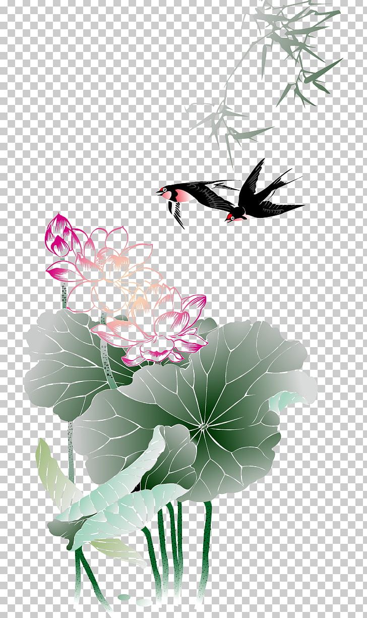 Lotus Nelumbo Nucifera Drawing Illustration PNG, Clipart, Bamboo Frame, Bamboo Leaves, Cdr, Chinese Style, Flower Free PNG Download