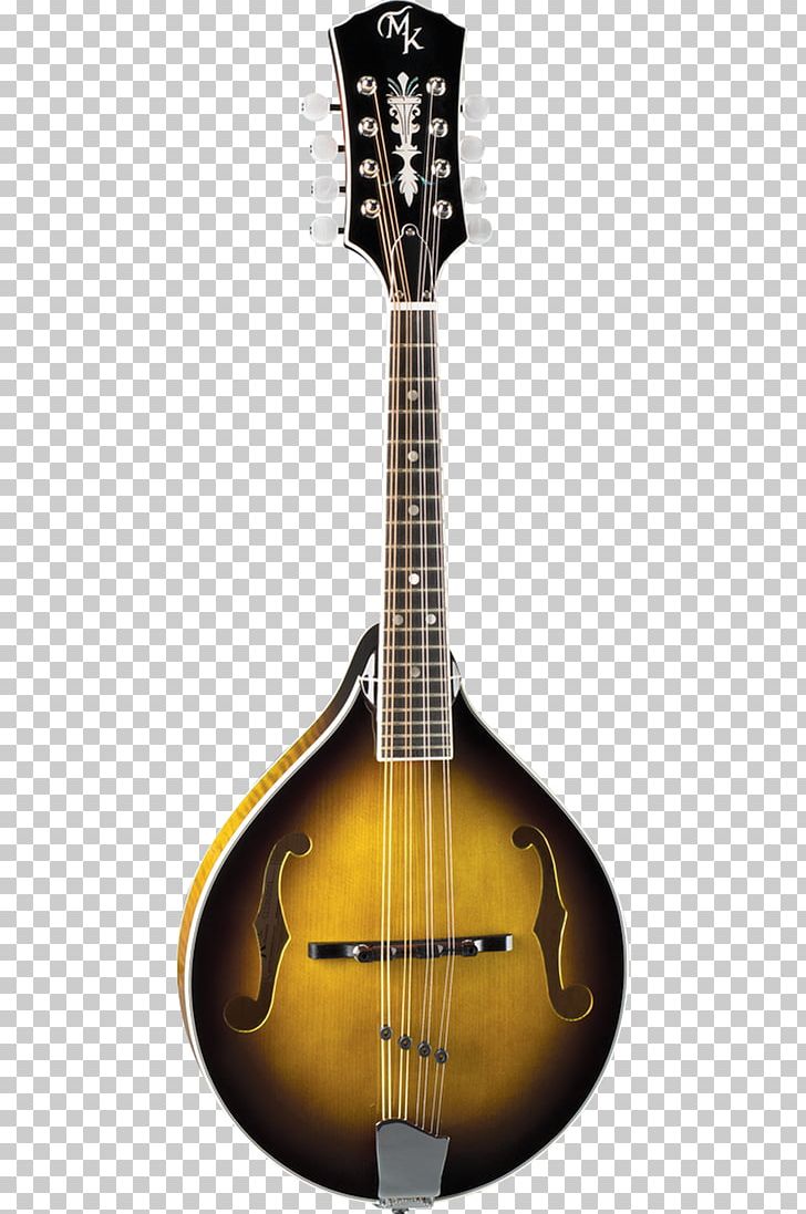 Mandolin Acoustic Guitar Acoustic-electric Guitar Banjo Guitar Tiple PNG, Clipart, Acoustic Electric Guitar, Cuatro, Guitar Accessory, Lute, Michael Kelly Free PNG Download