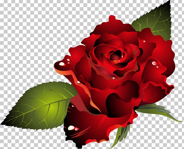 Valentine's Day Dia Dos Namorados Heart PNG, Clipart, Cut Flowers, Dia Dos Namorados, Engagement, Floral Design, Floribunda Free PNG Download