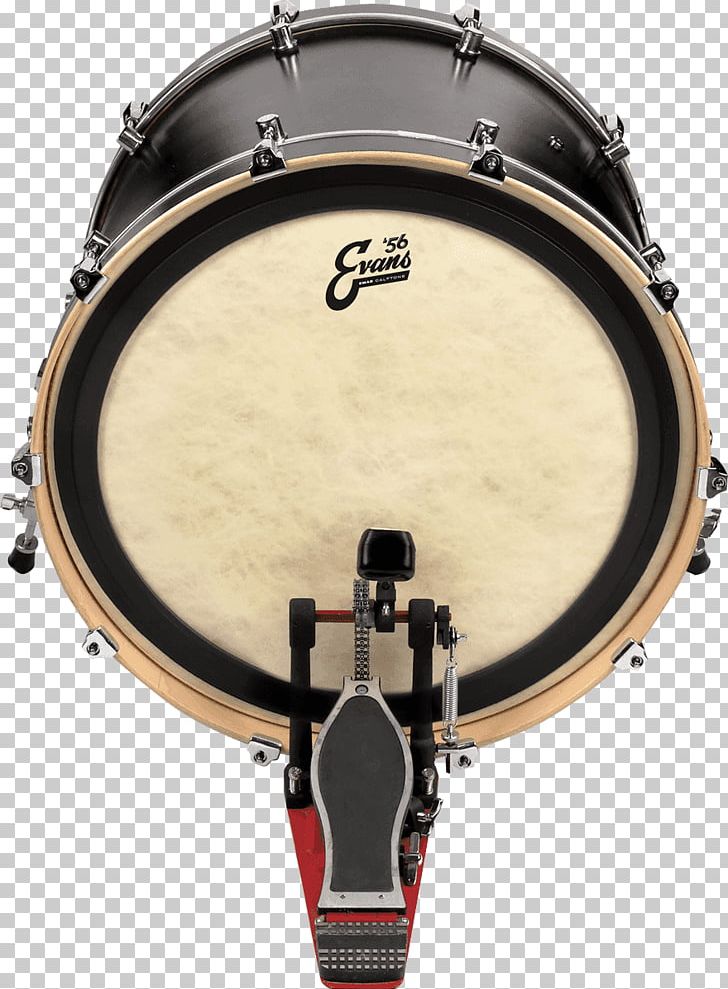 Bass Drums Snare Drums Drumhead Timbales Tom-Toms PNG, Clipart, Bass, Bass Drum, Bass Drums, Drum, Drumhead Free PNG Download
