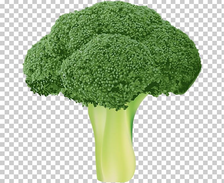 Broccoli Vegetable PNG, Clipart, Bitmap, Broccoli, Cabbage, Cauliflower, Desktop Wallpaper Free PNG Download