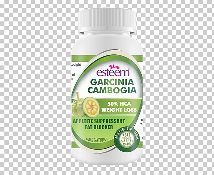 Dietary Supplement Garcinia Gummi-gutta Raspberry Ketone Hydroxycitric Acid Weight Loss PNG, Clipart, Appetite, Artfire, Capsule, Dietary Supplement, Extract Free PNG Download