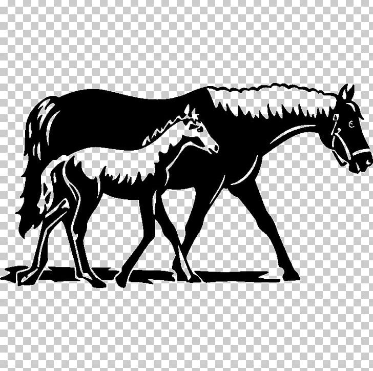 Horse Foal Colt Mare Wall Decal PNG, Clipart, Animals, Fauna, Fictional Character, Foal, Horse Free PNG Download