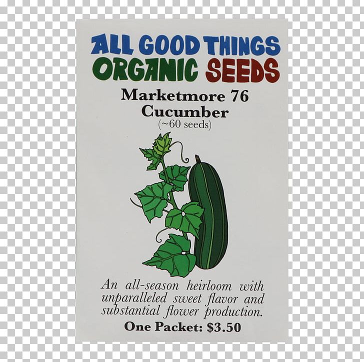 Organic Certification Genovese Basil Holy Basil Herb PNG, Clipart, Basil, Genetically Modified Organism, Genovese Basil, Green, Herb Free PNG Download
