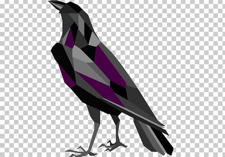 American Crow Rook Brighton Common Raven Bird PNG, Clipart, American Crow, Animals, Beak, Bird, Brighton Free PNG Download