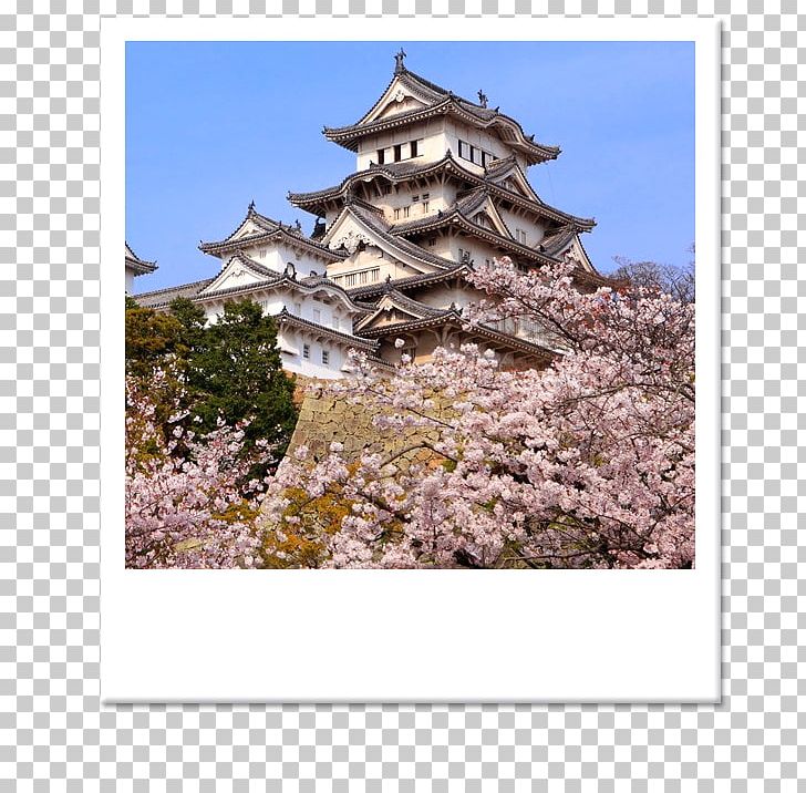 Himeji Castle Edo Castle Osaka Japanese Castle PNG, Clipart, Castle, Cherry Blossom, Chinese Architecture, Deer, Edo Castle Free PNG Download