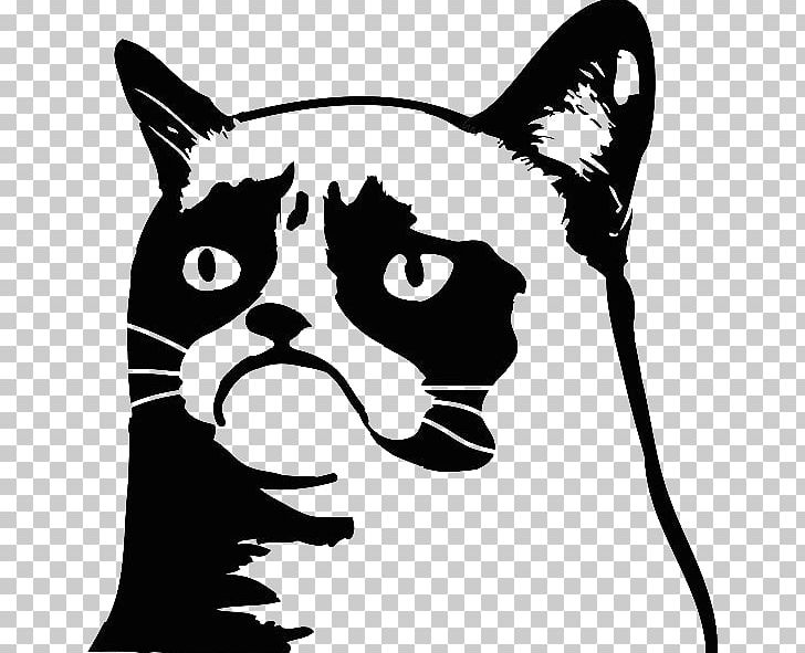 Decal Grumpy Cat Bumper Sticker Paper PNG, Clipart, Animals, Black, Bumper Sticker, Carnivoran, Cat Free PNG Download