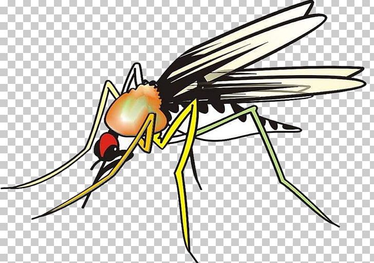 Aedes Insect Marsh Mosquitoes Hematophagy PNG, Clipart, Anti Mosquito, Arthropod, Arthropod Mouthparts, Blood, Flower Free PNG Download