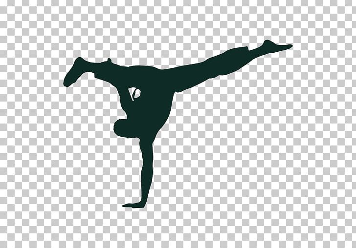Grupo Capoeira Brasil Brazil Martial Arts Judo PNG, Clipart, Aikido, Arm, Balance, Black And White, Brasil Free PNG Download