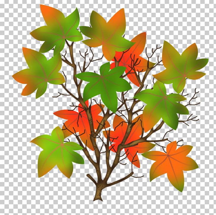 Maple Leaf PNG, Clipart, Autumn, Branch, Flower, Flowering Plant, Home Page Free PNG Download