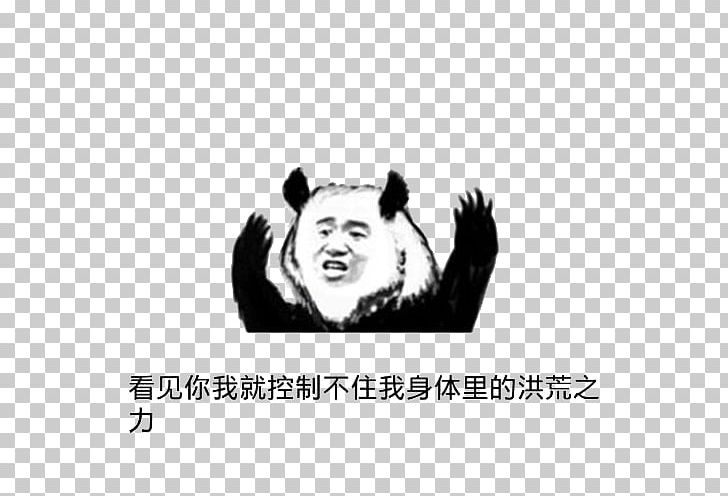 Three Kims Sticker WeChat Tencent QQ Facial Expression PNG, Clipart, Air Force, Animals, Armed Forces, Armed Forces Day, Armed Forces Rank Free PNG Download