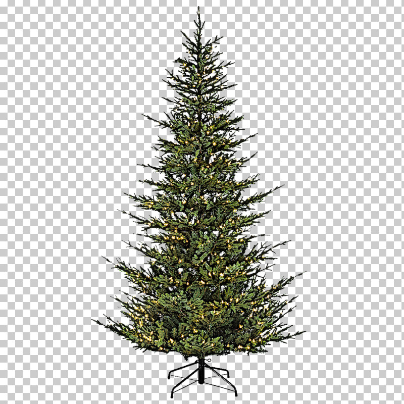 Christmas Tree PNG, Clipart, American Larch, Arizona Cypress, Balsam Fir, Canadian Fir, Christmas Decoration Free PNG Download
