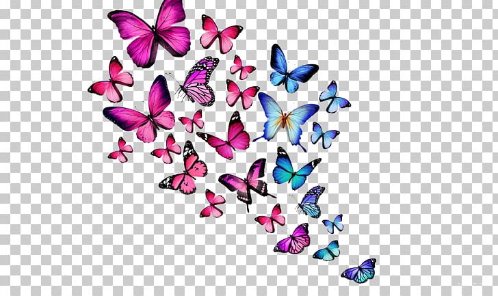 Butterfly Desktop Color White PNG, Clipart, 3 D, 3 D Art, Blue, Butterfly, Color Free PNG Download