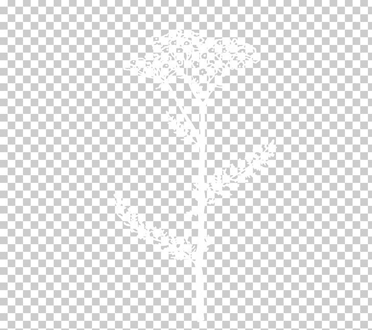 Line Angle PNG, Clipart, Achillea Millefolium, Angle, Line, Rectangle, White Free PNG Download