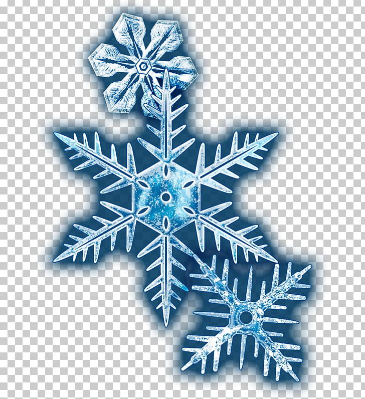 Snowflake PNG, Clipart, Adobe Flash, Christmas Decoration, Christmas Ornament, Human Heart, Nature Free PNG Download