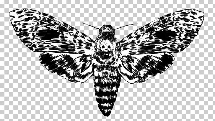 Brush-footed Butterflies Moth Butterfly Insect Wing PNG, Clipart, Arthropod, Black And White, Brush Footed Butterfly, Butterflies And Moths, Butterfly Free PNG Download