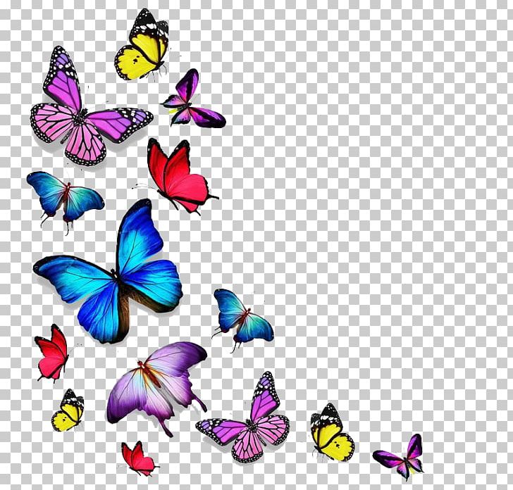 Stock Photography Butterfly Drawing PNG, Clipart, Artwork, Babochki, Brush Footed Butterfly, Butterfly, Butterfly Drawing Free PNG Download