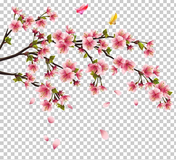 China Cherry Blossom Tattoo Flower PNG, Clipart, Blossom, Branch, Cherry, Cherry Blossom, Cherry Tree Free PNG Download