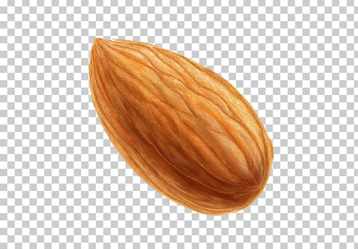 almond cartoon