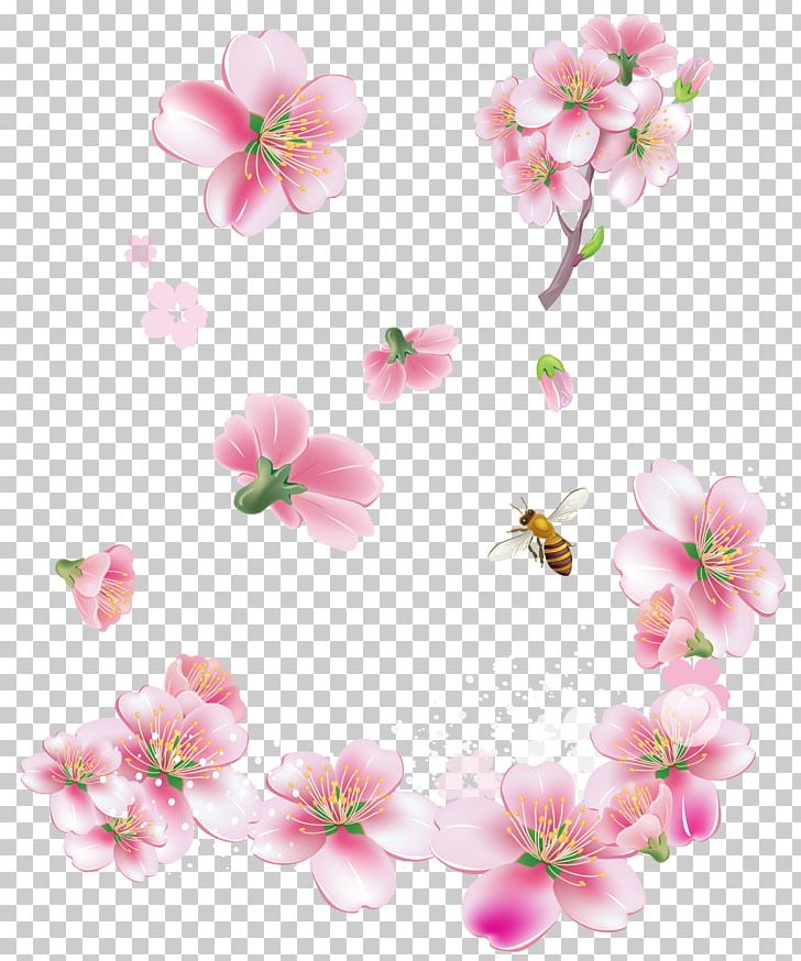 Pink Flowers PNG, Clipart, Blossom, Branch, Cherry Blossom, Desktop Wallpaper, Encapsulated Postscript Free PNG Download