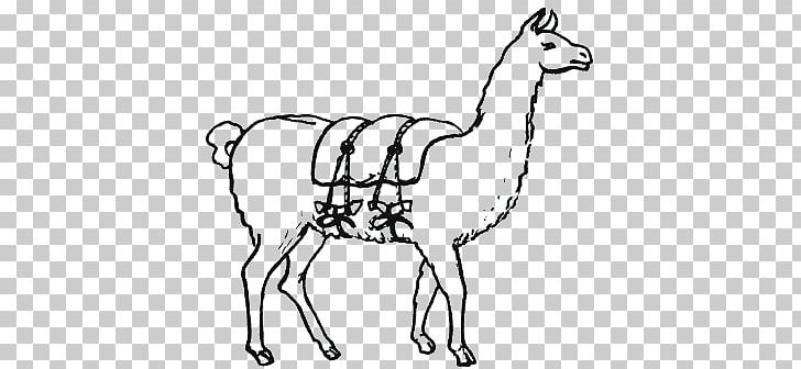 Llama Inca Empire Инки. Быт PNG, Clipart, Alpaca, Animal Figure, Animal Husbandry, Animals, Black And White Free PNG Download