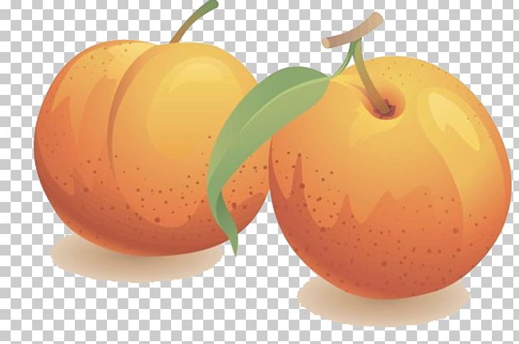 Nectarine Fruit PNG, Clipart, Apricot, Carambola, Citrus, Diet Food, Food Free PNG Download