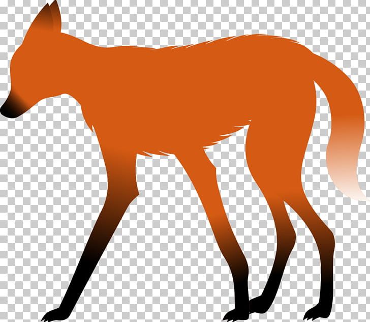 Red Fox Maned Wolf Animal PNG, Clipart, Animal, Animals, Animal Track, Carnivoran, Chrysocyon Free PNG Download