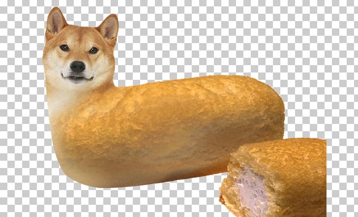 Shiba Inu Dogecoin Desktop PNG, Clipart, Blog, Computer Icons ...