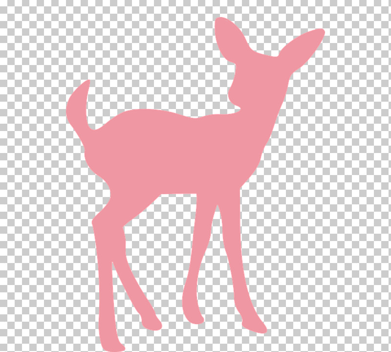 Deer Pink Tail Wildlife Roe Deer PNG, Clipart, Animal Figure, Deer, Fawn, Pink, Roe Deer Free PNG Download