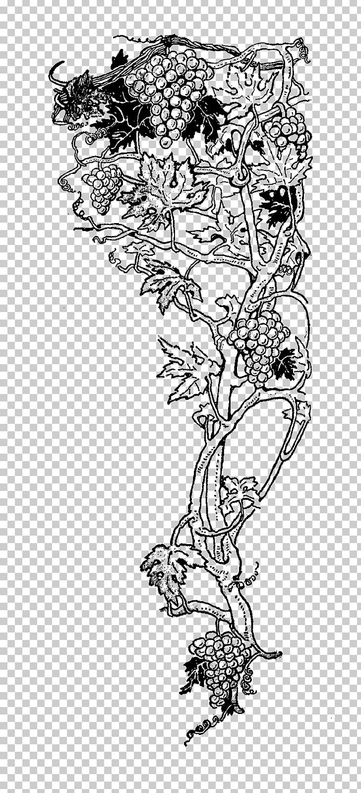 Common Grape Vine Wine Drawing PNG, Clipart, Area, Art, Artwork, Black, Black And White Free PNG Download