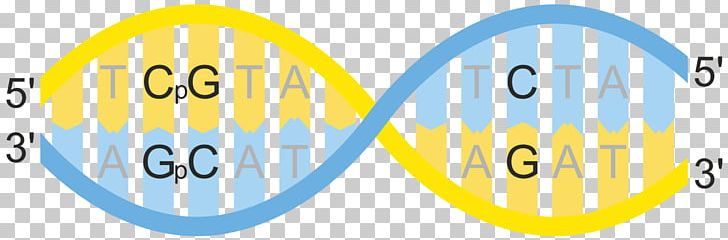 CpG Site CpG Island CpG Oligodeoxynucleotide Cytosine DNA PNG, Clipart, Area, Base Pair, Brand, C G, Circle Free PNG Download