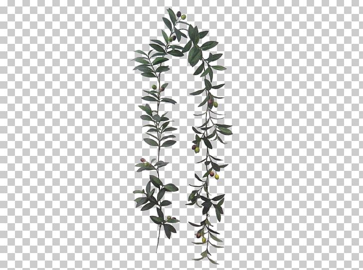 Garland Flower Branch Plant Stem PNG, Clipart, Babysbreath, Box, Branch, Branch Plant, Devils Ivy Free PNG Download