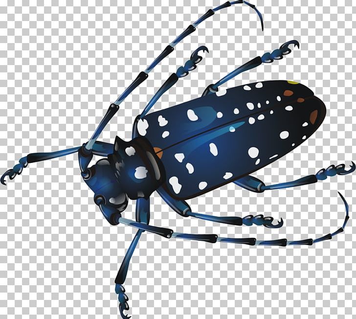 Longhorn Beetle Seven-spot Ladybird Ladybird Beetle Citrus Long-horned Beetle PNG, Clipart, 2008, Animals, Arthropod, Beetle, Citrus Long Horned Beetle Free PNG Download