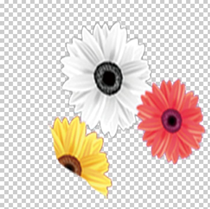 Chrysanthemum PNG, Clipart, Adobe Illustrator, Chrysanthemum Chrysanthemum, Chrysanthemums, Color, Daisy Free PNG Download