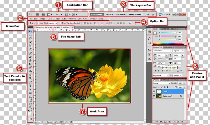 Screenshot Adobe Systems Computer Program PNG, Clipart, Adobe Systems, Butterfly, Command, Computer, Computer Program Free PNG Download