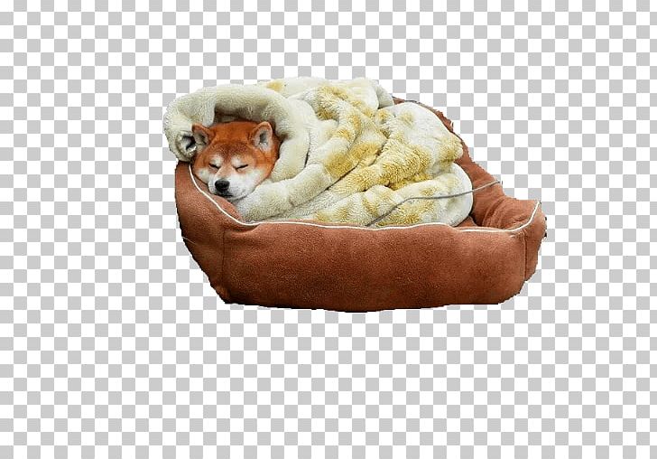 Shiba Inu Puppy Animal Pet Snout PNG, Clipart, Animal, Animals, Christmas, Cuteness, Dog Free PNG Download