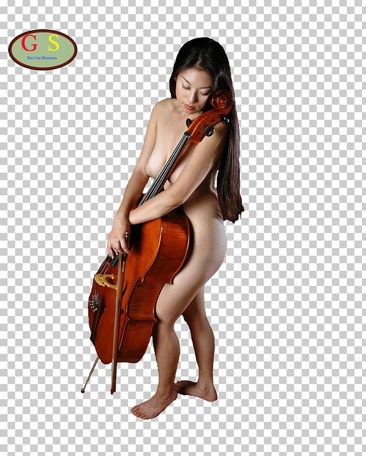 Violone Cello Double Bass Viola Violin PNG, Clipart, Art, Bowed String Instrument, Cellist, Cello, Champagne Free PNG Download