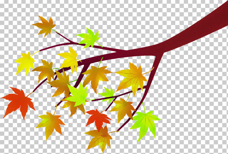 Maple Leaves Autumnal Leaves Fallen Leaves PNG, Clipart, Autumnal Leaves, Black Maple, Fallen Leaves, Flower, Leaf Free PNG Download