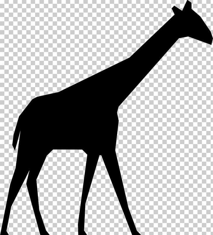 Giraffe Graphics Silhouette PNG, Clipart, Animals, Black And White, Computer Icons, Download, Drawing Free PNG Download